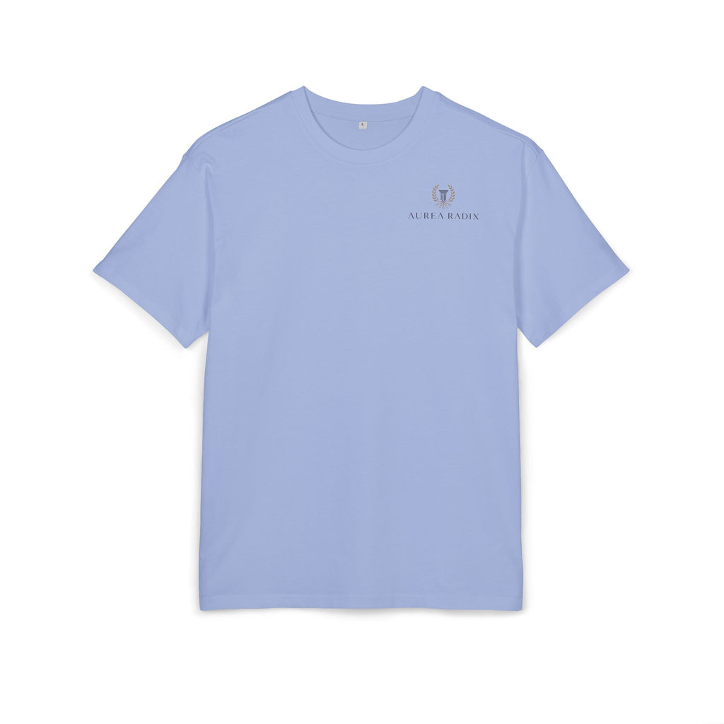 Save Europe —  Oversized Tee