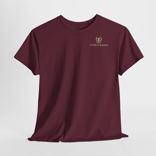 [color:Maroon]